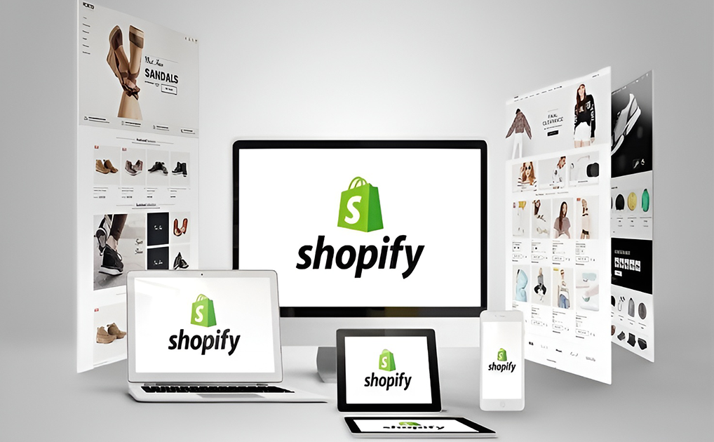 Shopify Store Setup